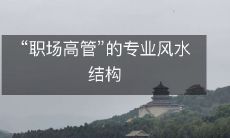 “职场高管”的专业风水结构