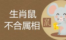 属鼠的和什么属相不合会破财