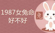 1987女兔命好不好 注定是二婚命吗
