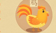 属牛是属鸡的贵人吗 二者的婚姻运势如何