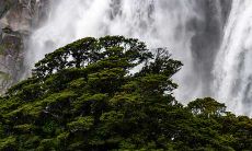 怎样设计办公室才能旺财 赚钱运势最旺的风水