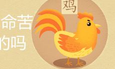 男属鸡命苦是真的吗 几月出生命最好