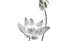 2022年7月18日是动土黄道吉日吗 好日子看八字