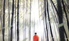 家居风水中的沙发风水对冲禁忌