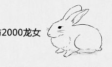 1999年兔男与2000年龙女婚配合不合 夫妻结婚相配吗