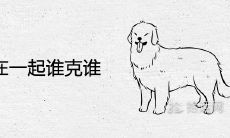 狗和猴在一起谁克谁 婚配八字合不合