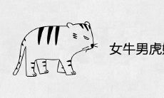 女牛男虎婚配穷一辈 适合做夫妻吗