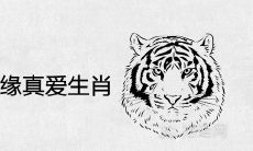 2021年属虎的正缘真爱生肖是谁