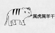 属虎属羊千万不能在一起为什么 一生婚配合不合