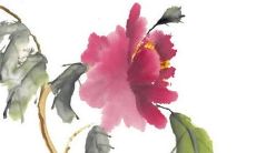 2022年7月13日适合动土吗 建房开工合不合适