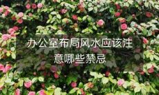 办公室布局风水应该注意哪些禁忌