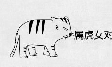 属虎女对什么样男人动情