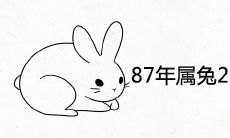 87年属兔2021年婚姻最终归宿是谁