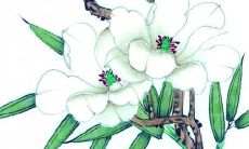 2022年7月7日小暑动土日子好吗 今日日子好不好