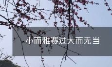 小而雅赛过大而无当