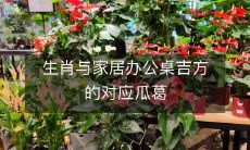 生肖与家居办公桌吉方的对应瓜葛