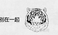 男虎女兔千万别在一起为什么 结婚后的下场如何