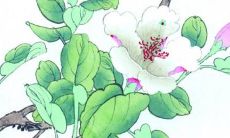 2022年7月9日开工动土吉利吗 这天建房合不合适