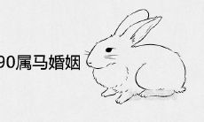 1987属兔和1990属马的婚姻合不合