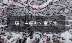 职业白领办公室风水