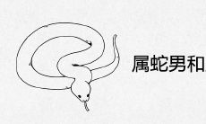 属蛇男和属鸡女到底好不好