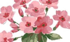 2023年1月8日出生的属兔男孩命好吗 安分守己自强自立