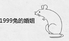 1996鼠与1999兔的婚姻如何