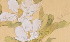 2023年正月初六出生的属兔男孩是什么命 感情幸福贵人指引