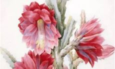 2023年正月初七出生的男宝宝命好吗 做事谨慎避免失败