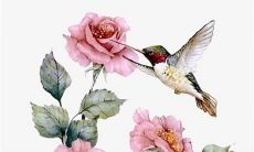 2023年1月7日出生的男孩是什么命 富贵延年造福子孙