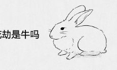 属兔的桃花劫是牛吗