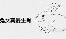2021属兔女真爱生肖及感情运势