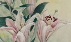 2023年1月9日出生的男宝宝八字命运查询 正气凛然是栋梁之材