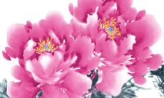 2023兔年1月10日出生的男孩命好不好 命中必有贵人提携