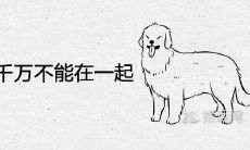 属狗和属猪千万不能在一起为什么 适合做夫妻吗