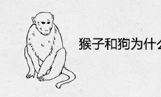 猴子和狗为什么水火不容 在一起合不合