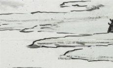 2023年正月初八出生的宝宝命运好吗 聪明机灵运势平顺