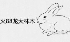 87女兔炉中火88男龙大林木婚配合适吗