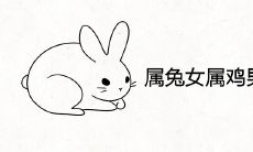 属兔女与属鸡男能白头到老吗 婚姻相配吗