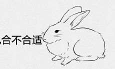87年兔和99年兔合不合适