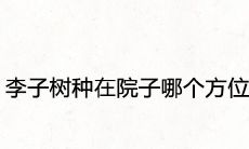 李子树种在院子哪个方位好 最佳的招财位置