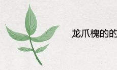 龙爪槐的的风水作用以及寓意