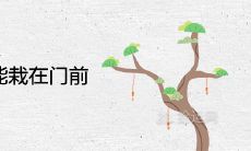 为什么说樱桃树不能栽在门前 风水寓意不好吗