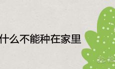 美人蕉为什么不能种在家里 可以镇宅辟邪吗