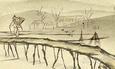 牵牛花能种阳台会影响风水吗