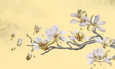 订婚男方需要什么 聘金必不可少