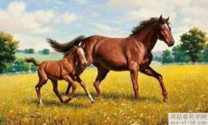 2002年属马的吉祥物是什么 佩戴什么幸运色好