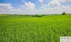 从风水角度书柜应该如何放在办公室