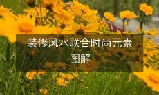 装修风水联合时尚元素图解