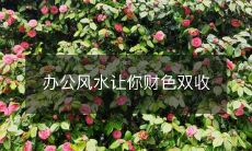 办公风水让你财色双收